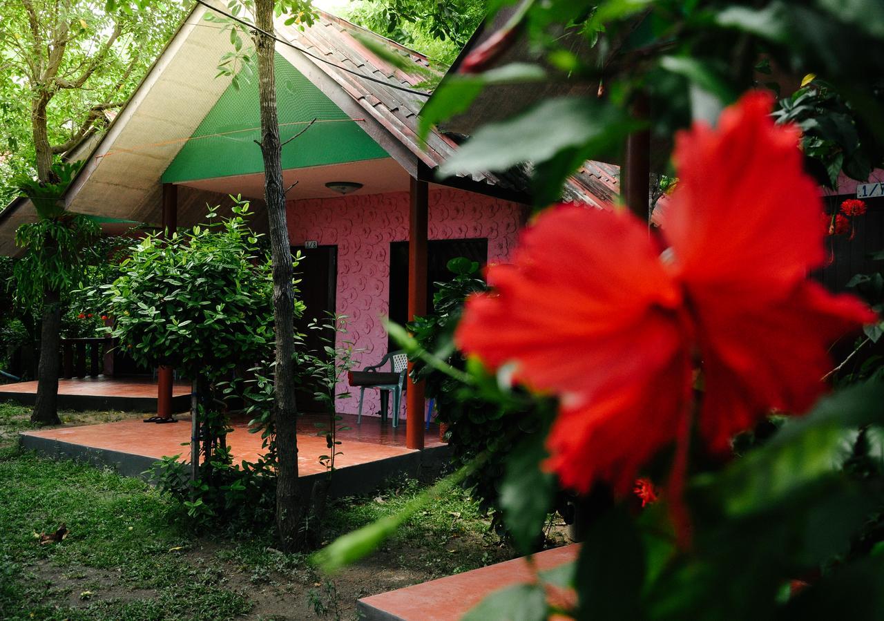Coral Bungalows Haad Rin Exterior photo